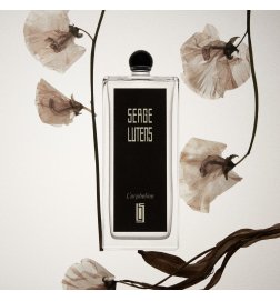 The Orphan - Eau de Parfum The Orphan - Eau de Parfum